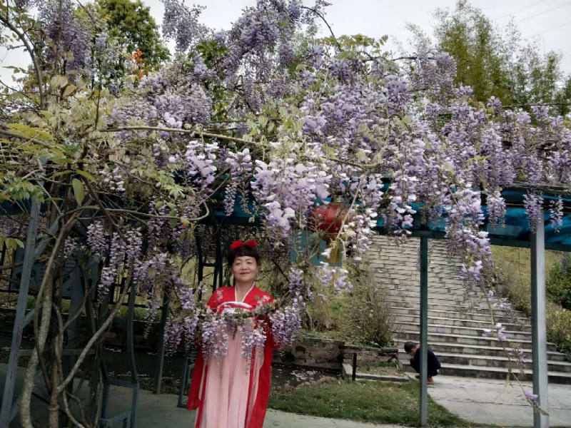 莉莉的第一张照片--大田婚介网